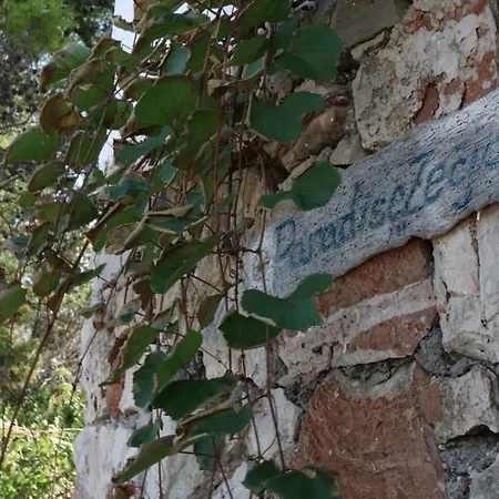 House Hvar
