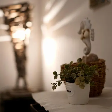 House Hvar Ferienhaus Zastražišće